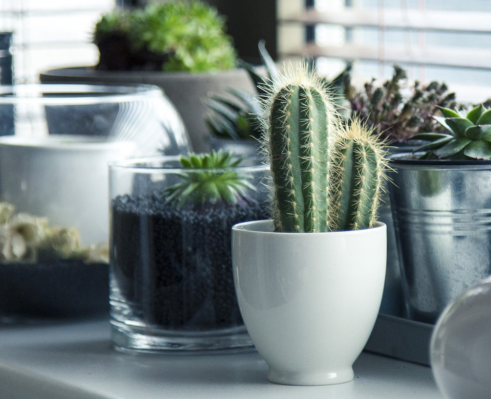 �m�������b������޹�˾������2017������һ�Ҿ߂���b�Y�|(zh��)���Լ��b�������㹤�b�ľC�����b�˾����(zhu��n)ע�ڞ����(hu��)��Ӣ�A���ṩ���ЙC(j��)���wסլ�b���Q�������γɪ�(d��)�صĺ��wסլ�b��O(sh��)Ӌ(j��)��ʩ�������Ĵ������ԠI(y��ng)ľ���a(ch��n)Ʒ...